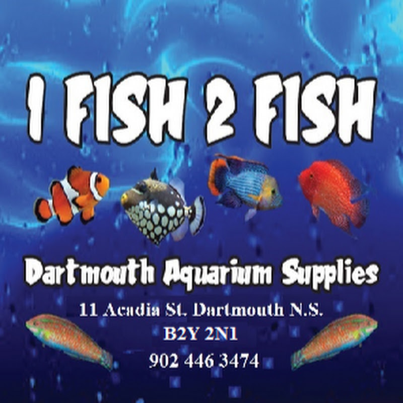1 Fish 2 Fish