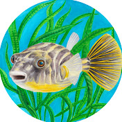Crazy Aquarium Guy