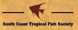 South Coast Tropical Fish Society 