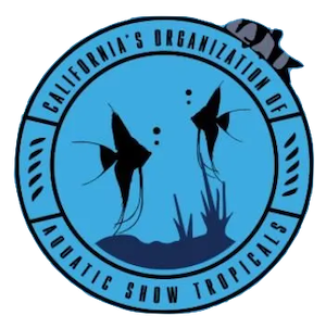 CA's Organization of Aquatics Show Tropicals (COAST)