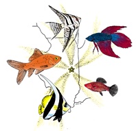 Champaign Area Fish Exchange (CAFE)