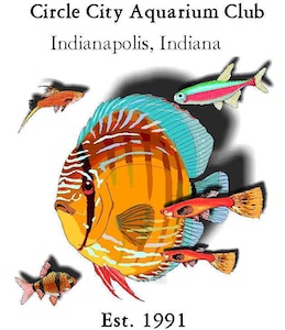 Circle City Aquarium Club