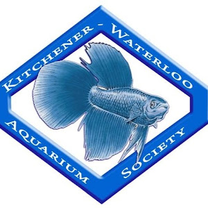 Kitchener-Waterloo Aquarium Society