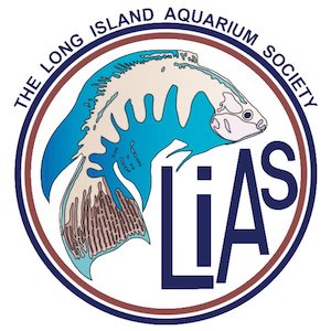 Long Island Aquarium Society