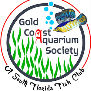 GOLD COAST AQUARIUM SOCIETY
