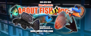 About Fish