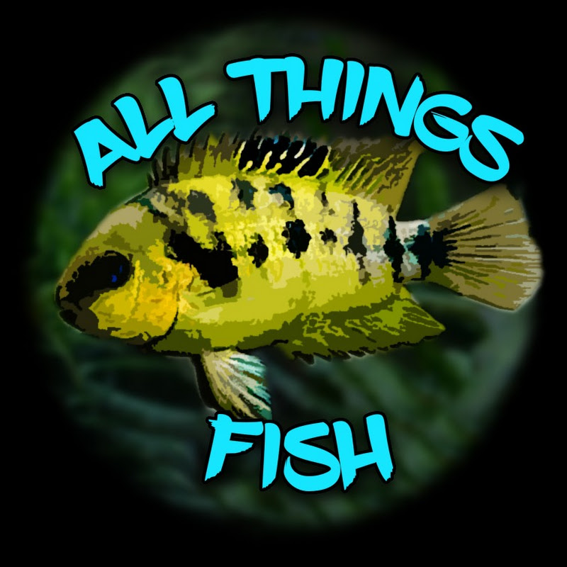All Things Fish