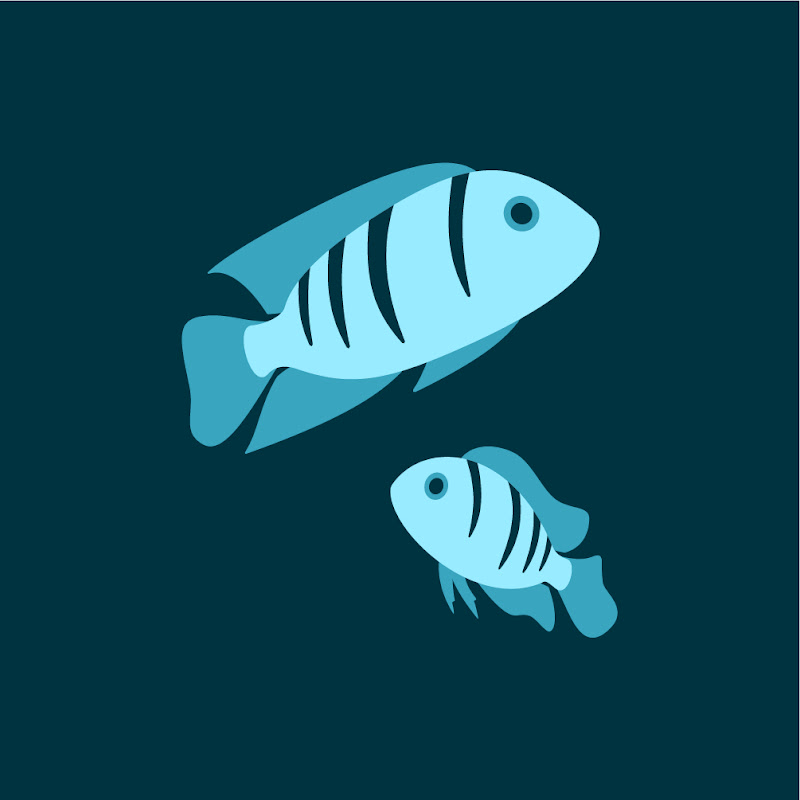 Bill's Cichlid Room