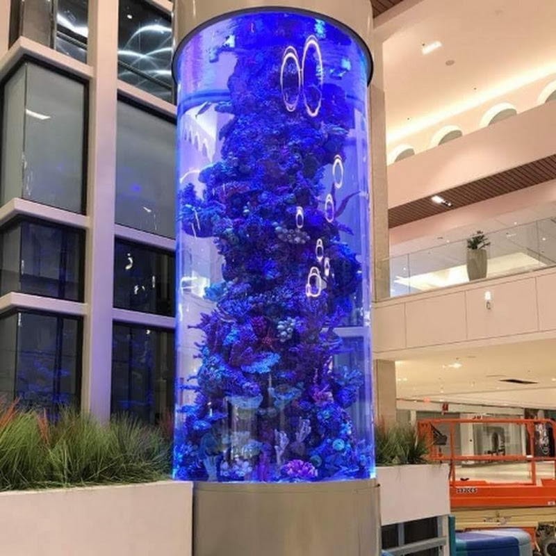 Brett Raymer (TANKED)