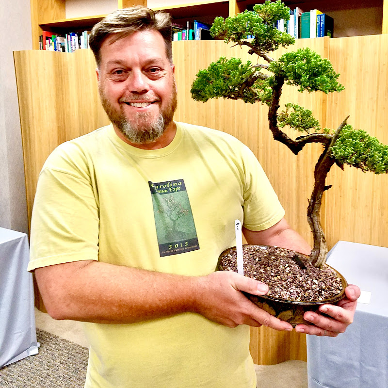 Budget Bonsai