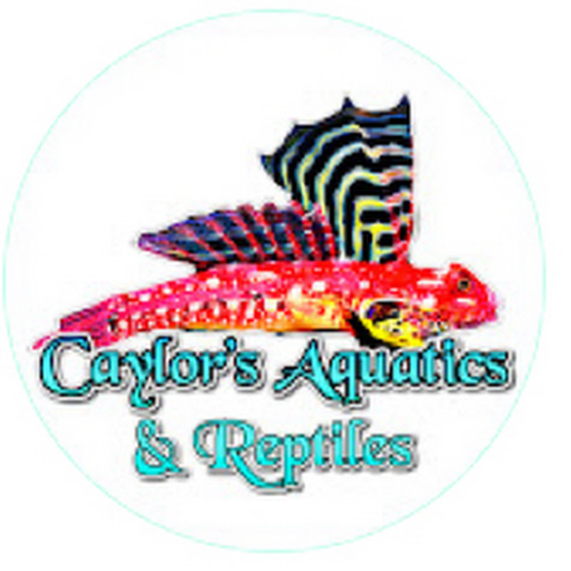 CAYLOR REPTILES & AQUATICS