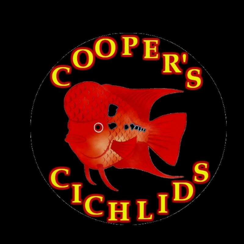 COOPER'S CICHILDS