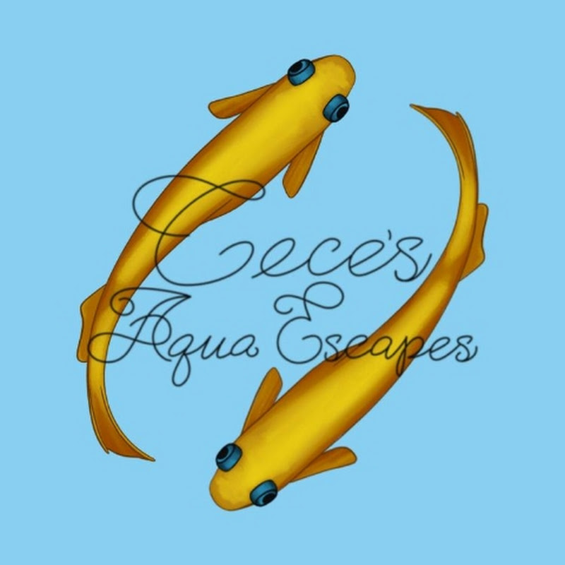 Cece's Aqua Escapes