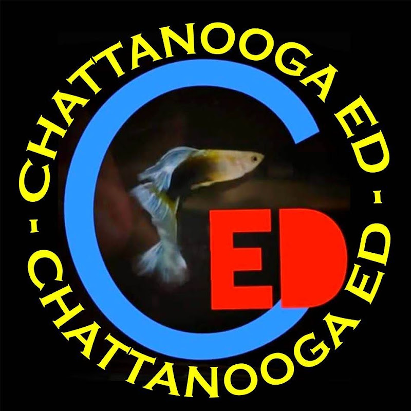 Chattanooga Ed