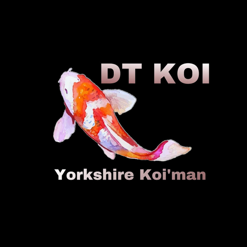 DT Koi