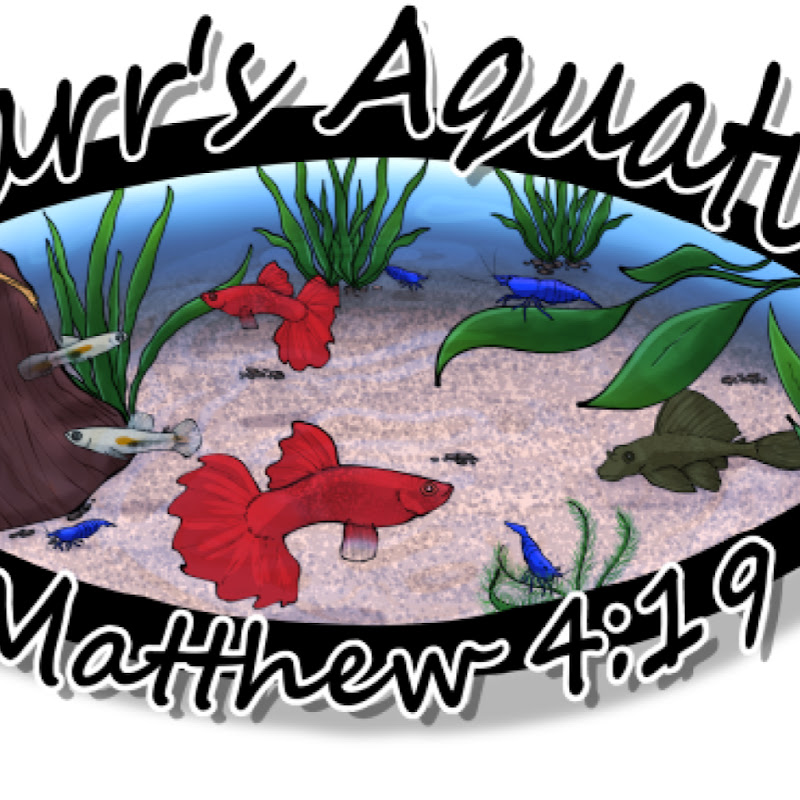 Darr's Aquatics