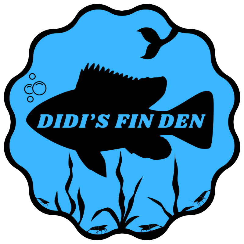 Didi's FIN Den