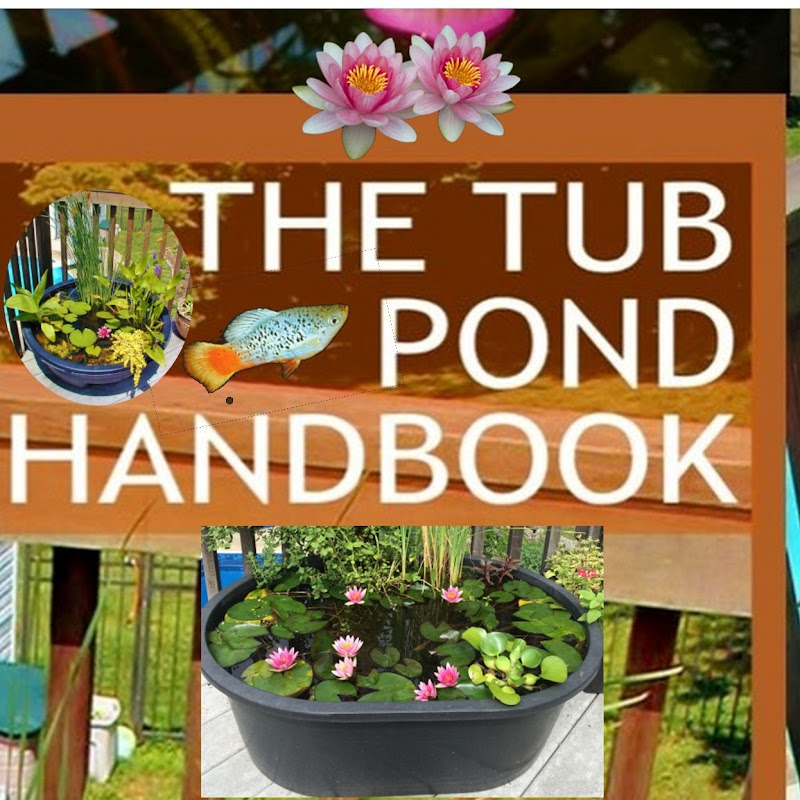 Dr. Ted and The Tub Pond Handbook