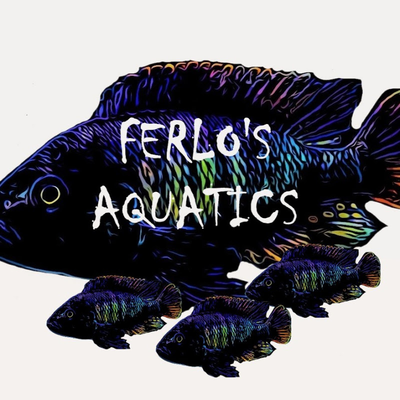 Ferlo’s aquatics