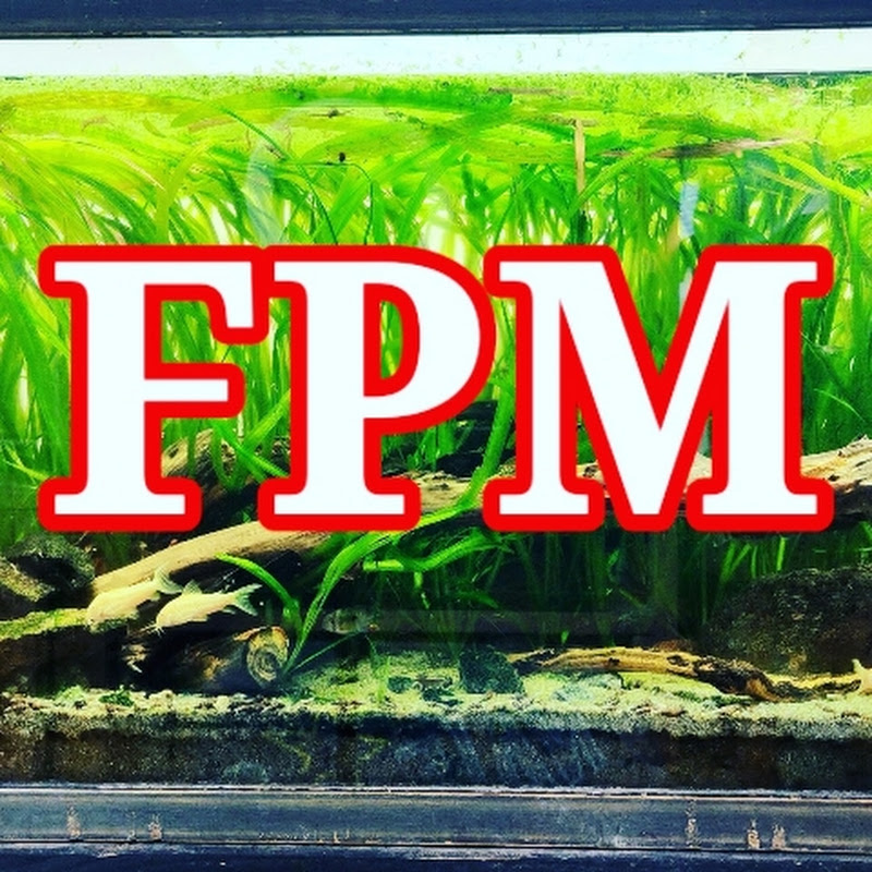 Fish, Plants y Mas