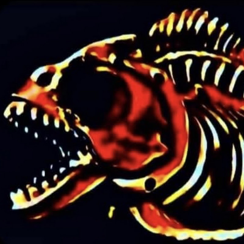 Fishkoto 
