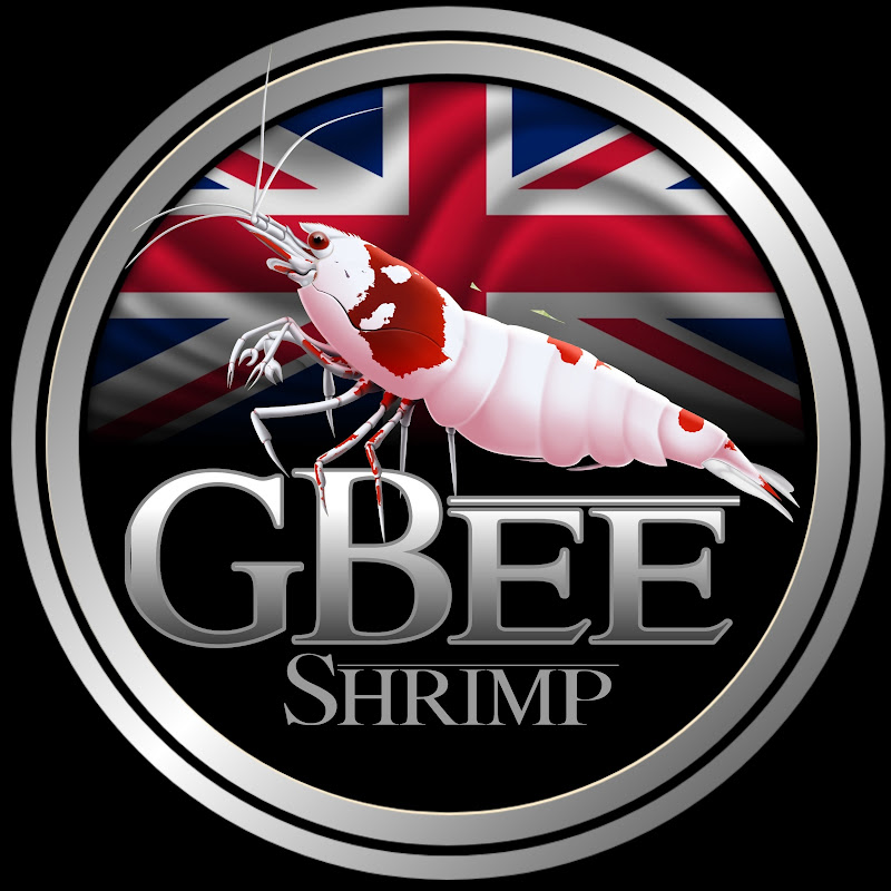 GBee Shrimp & Aquatics 