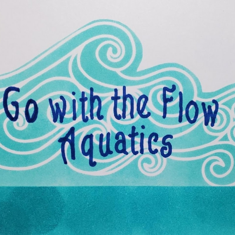 Go With The Flow Aquatics