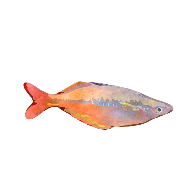 Hoon Aquatics