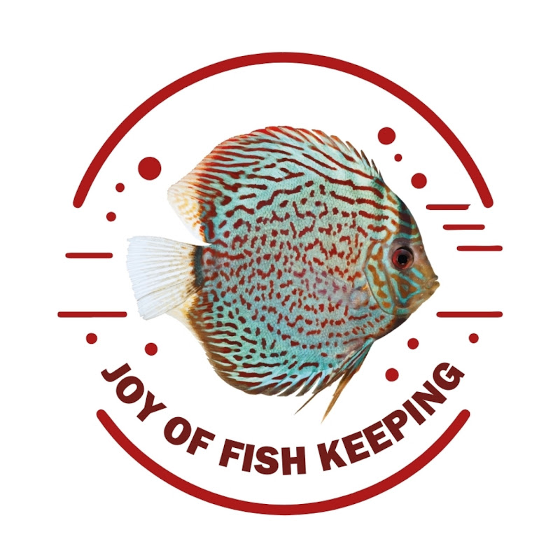 JOY OF  FISH KEEPING