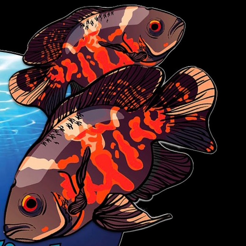 Jerry's Fish Room