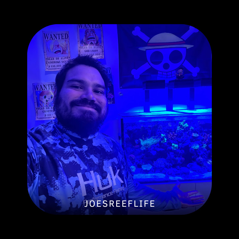 JoesReefLife 