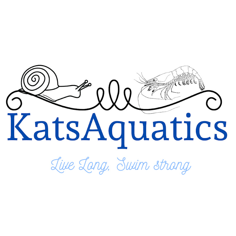 KatsAquatics