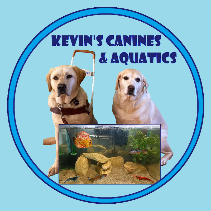 Kevin's Canines & Aquatics