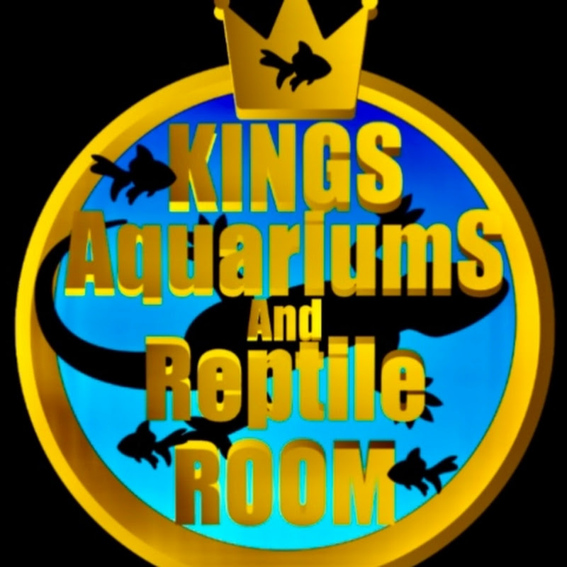 King's Aquariums And Pet World 