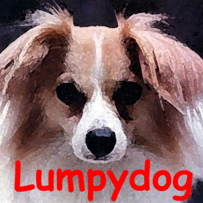 Lumpydog