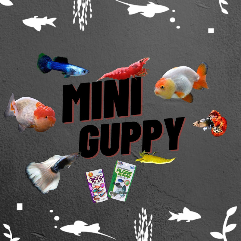 MINI Guppy