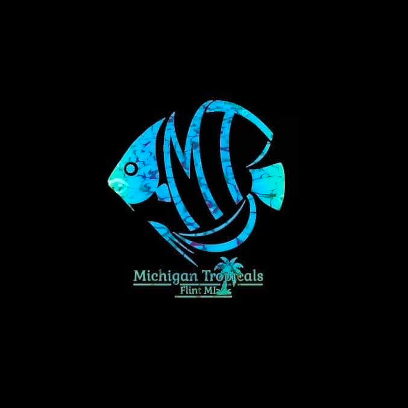 Michigan Tropicals LLC