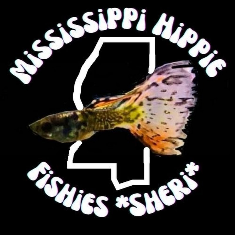 Mississippi Hippie Fishies
