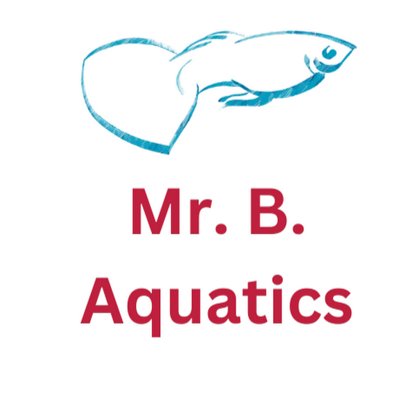MrBAquatics
