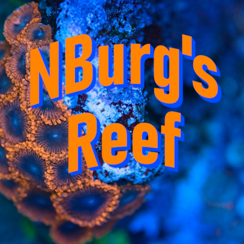 NBurg Reef