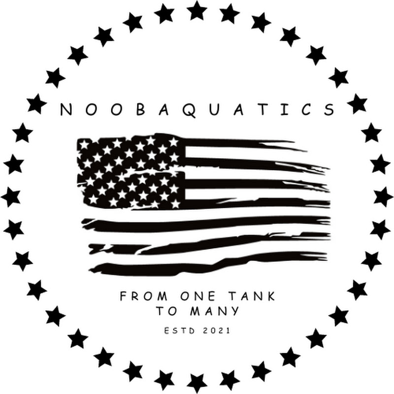 NoobAquatics
