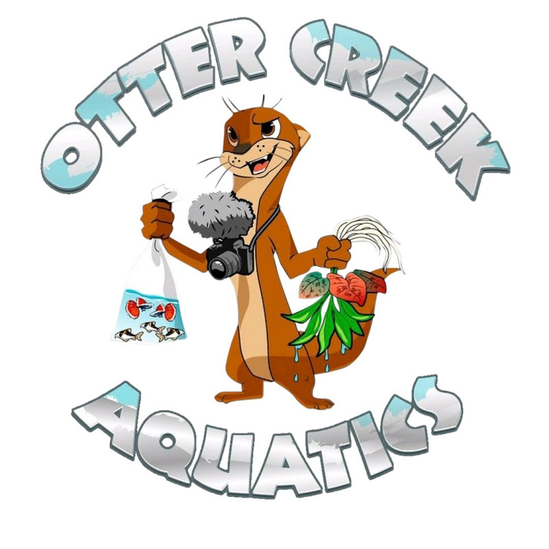 Otter Creek Aquatics