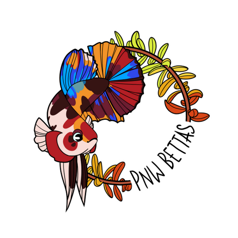 PNWBettas