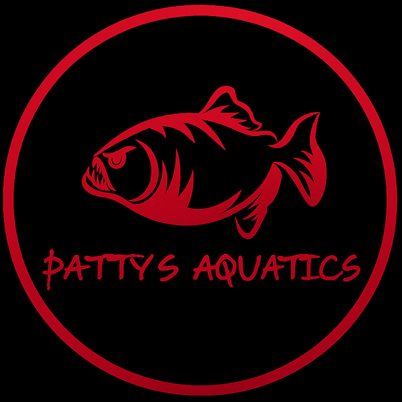 Patty’s Aquatics
