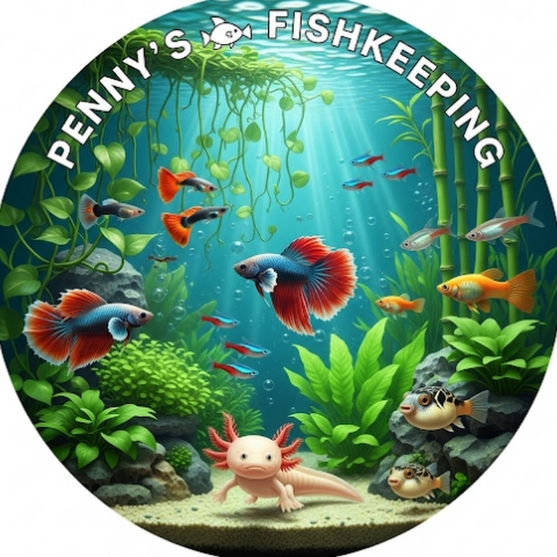 Penny's Fishkeeping