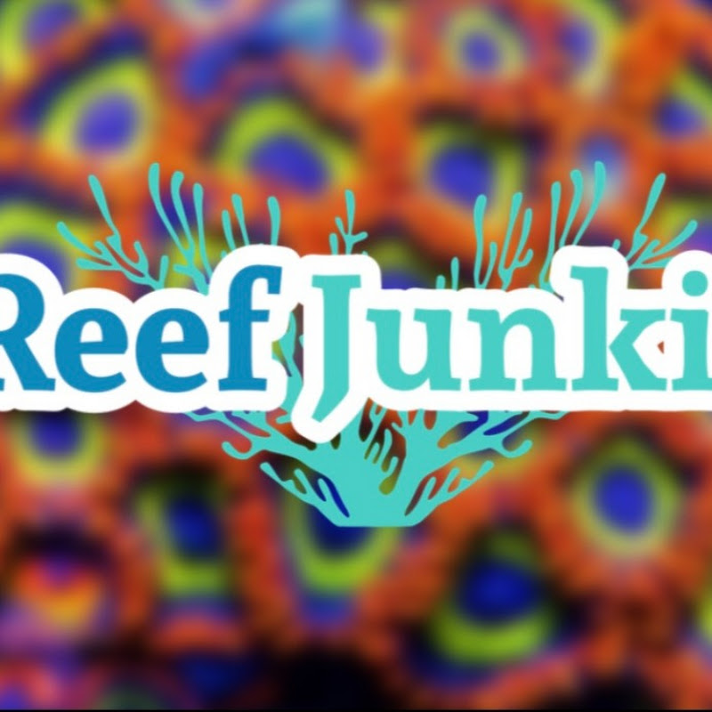 Pittsburgh Reef Junkie