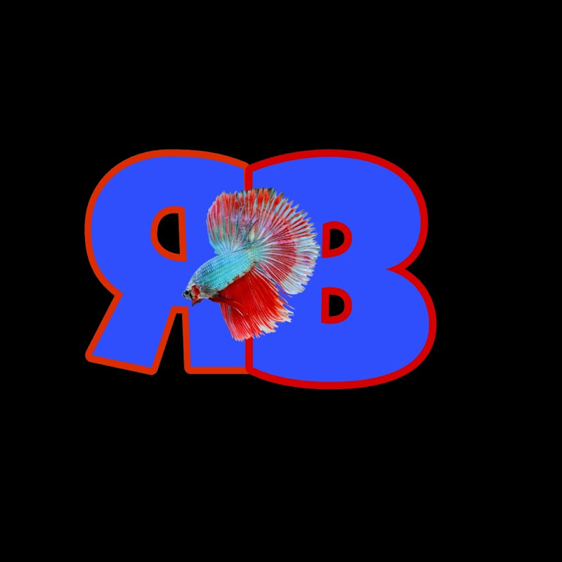 R.B.Movies and Toys