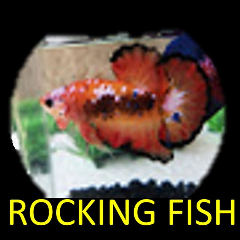 Rocking Fish