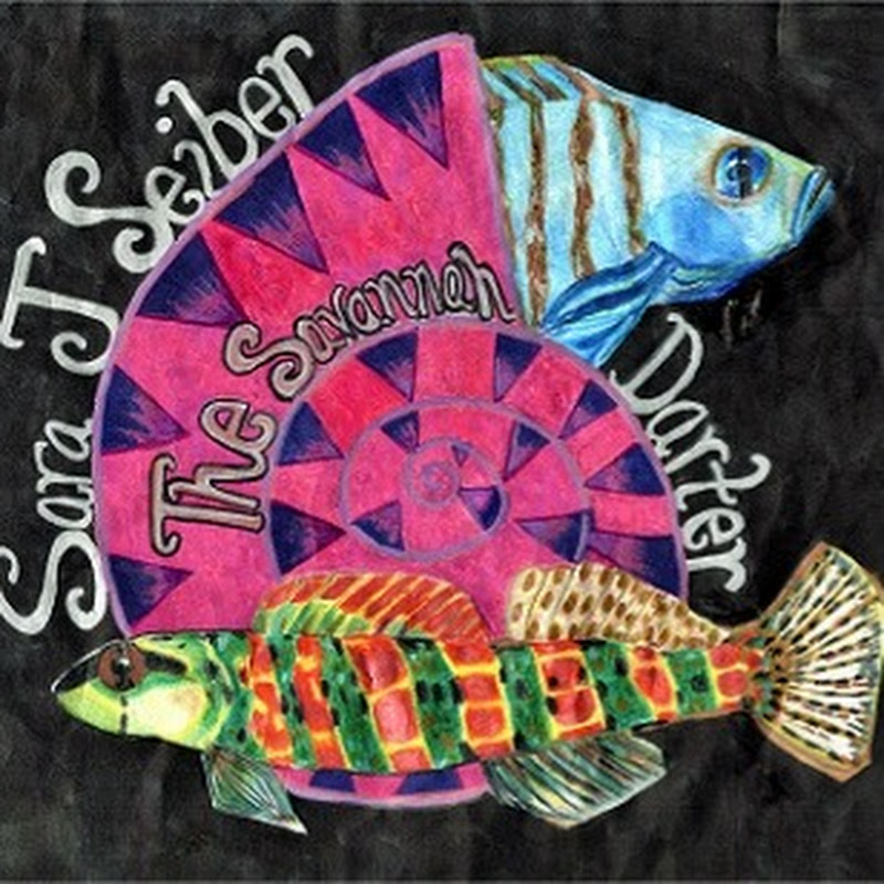 Sara  The Savannah Darter