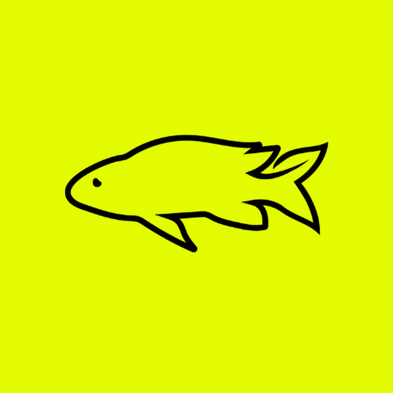 Scapefin